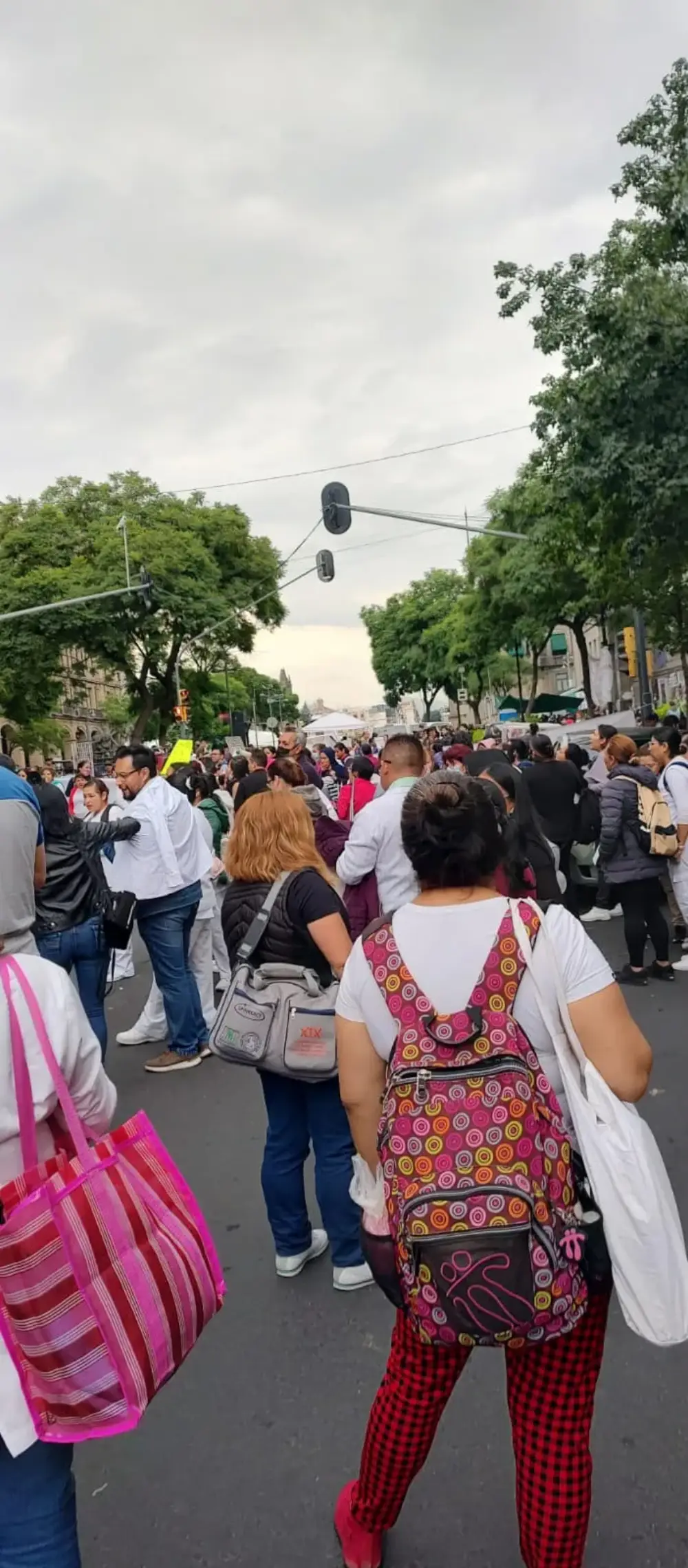 Contingente en marcha